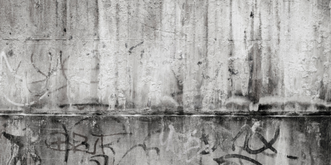 politische-brandmauer-deutschland