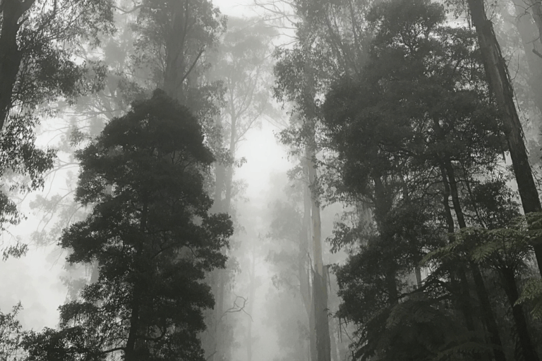 stadtbild-merz-christin-jost